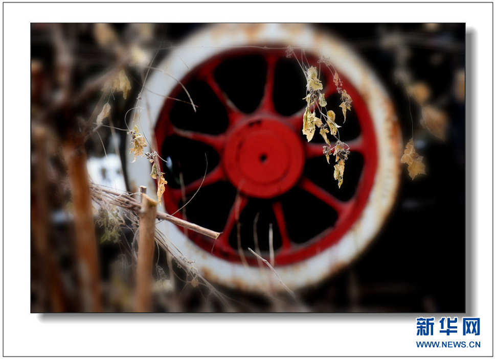 《遺世流年抹滄?！?>	</a></div>
</div>
<div   id=