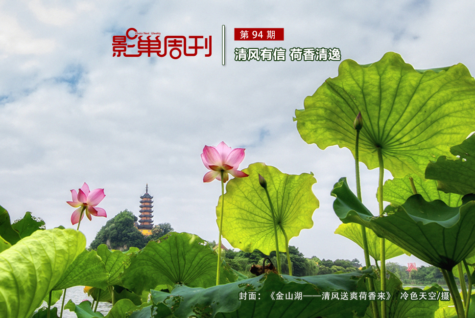 金山湖——清風送爽荷香來
