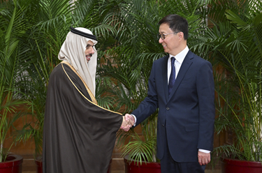 韓正集體會見阿拉伯、伊斯蘭國家外長聯合代表團