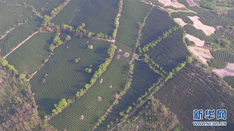 （兩會前夕看落實&middot;圖文互動）（9）綠色發展引領 守護&ldquo;魚米之鄉&rdquo;&mdash;&mdash;江蘇落實習近平總書記全國兩會重要講話精神紀實