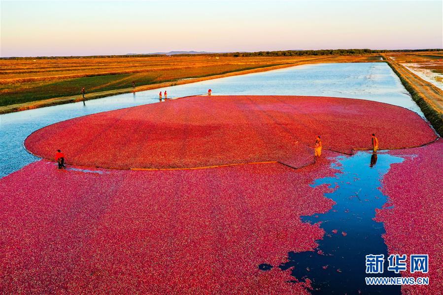 （圖文互動）（9）從&ldquo;輕工漁網重工馬掌&rdquo;到&ldquo;圓夢小康&rdquo;&mdash;&mdash;&ldquo;中國東極&rdquo;脫貧攻堅剪影