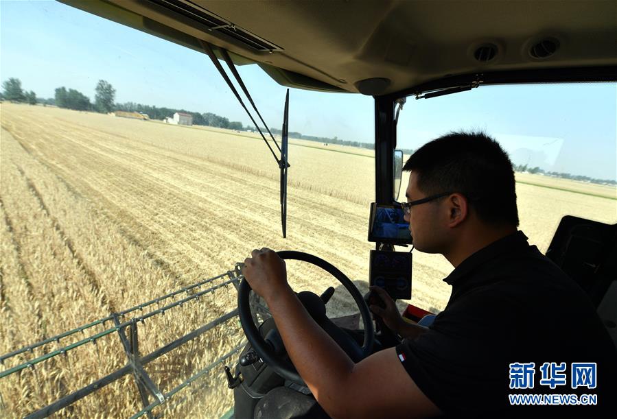 （關注三夏&middot;圖文互動）（2）麥田&ldquo;后浪&rdquo;的農(nóng)事新說