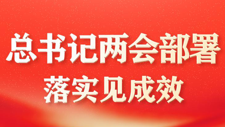 總書記兩會部署落實見成效