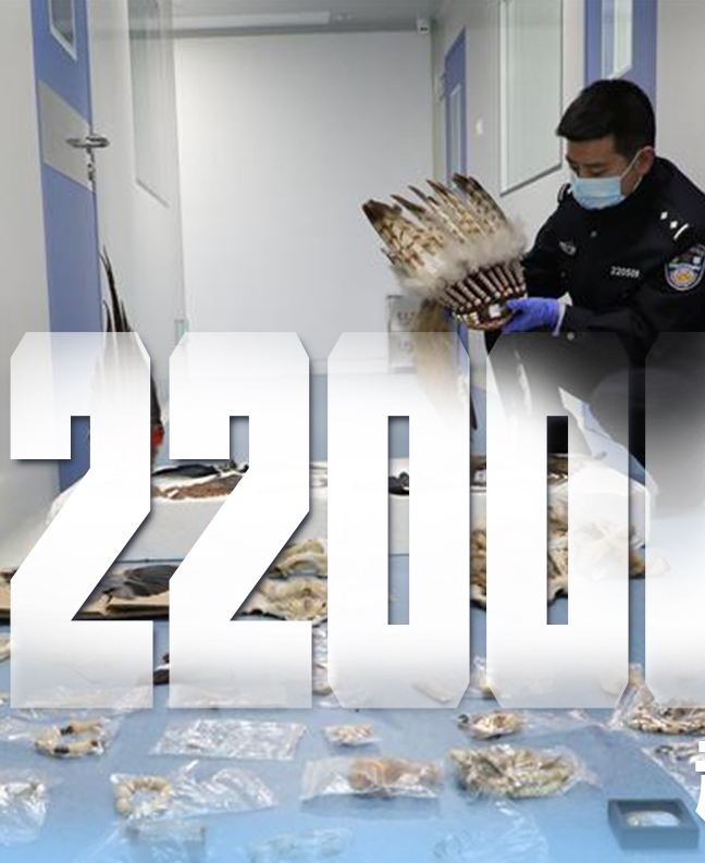 抗疫有&ldquo;法&rdquo;，就是這么給力！