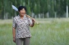 與沙漠的&ldquo;三十年戰爭&rdquo;