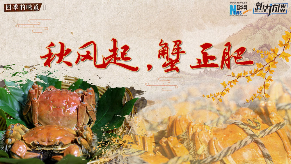 秋風起，蟹正肥