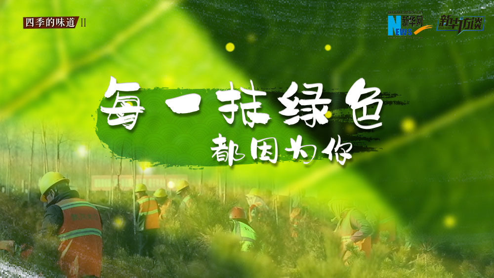 千年秀林，每一抹綠色都因?yàn)槟? /></p>
<p class=