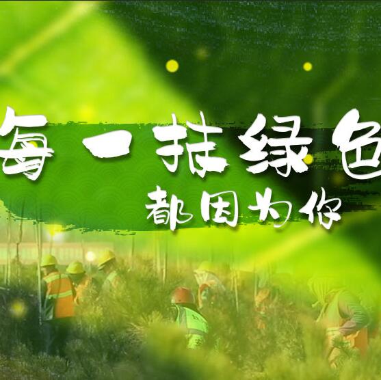 千年秀林，每一抹綠色都因?yàn)槟? /></a>       
<div   id=