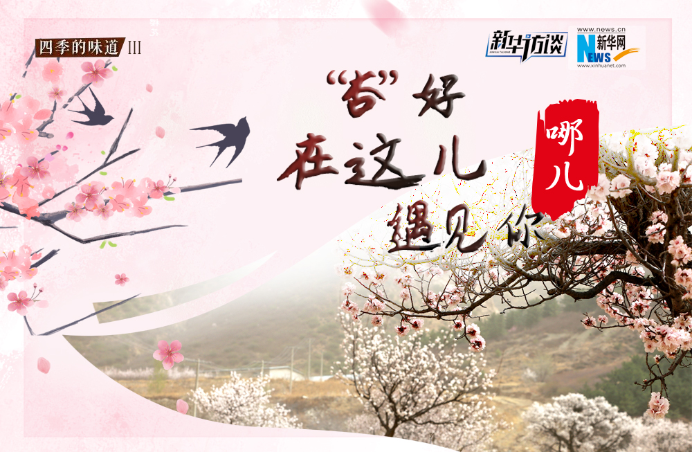 哪兒？&ldquo;杏&rdquo;好在這兒遇見你！