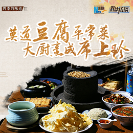 莫道豆腐平常菜，大廚烹成席上珍