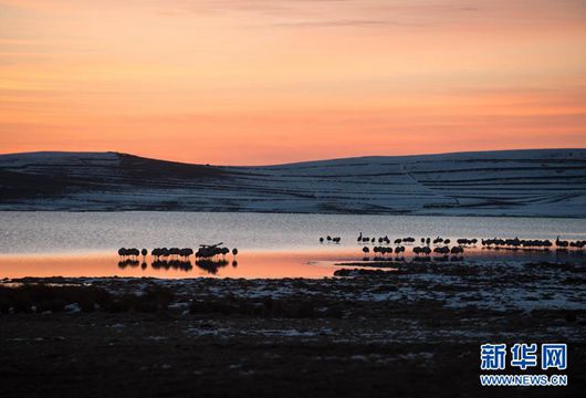 從全國兩會看&ldquo;中國家園&rdquo;