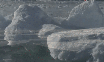 聯(lián)合國環(huán)境署發(fā)布全球環(huán)境報(bào)告：人類對(duì)自然的&ldquo;自殺式戰(zhàn)爭(zhēng)&rdquo;釀成三大危機(jī)