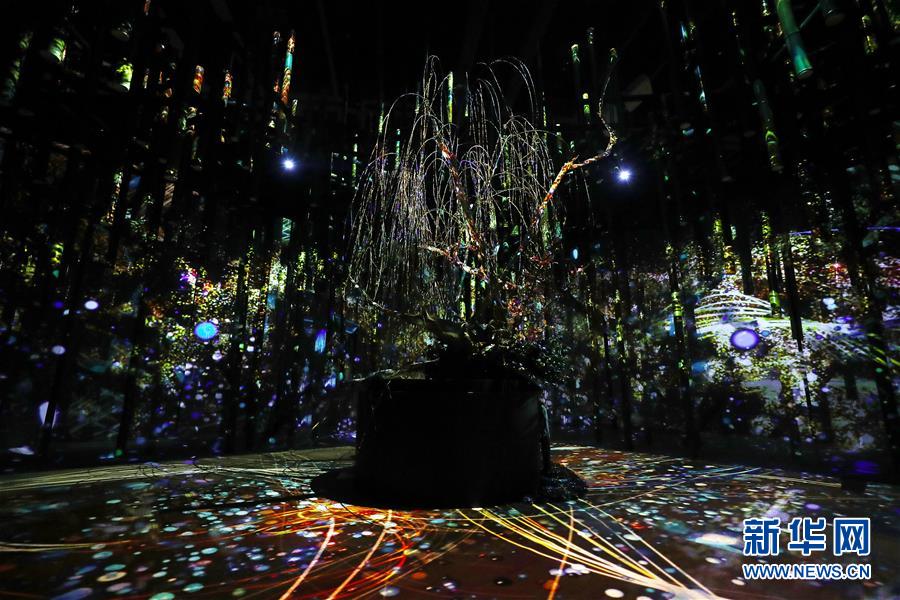 （國(guó)際）（4）日本東京：寒冬時(shí)節(jié)賞&ldquo;繁花&rdquo; 