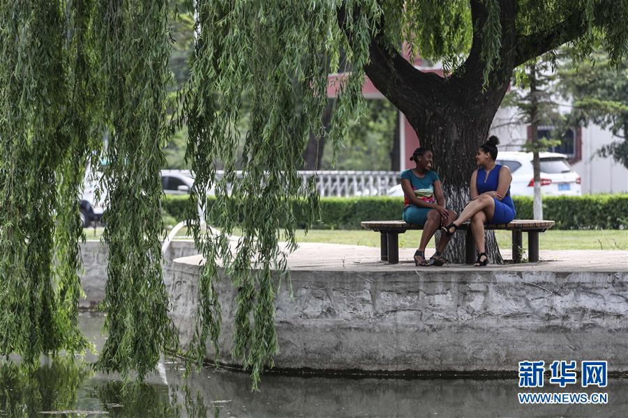 （中非團結抗疫故事&middot;圖文互動）（5）坦桑尼亞留學生譚麗：離家千里 生活一樣溫暖而多彩