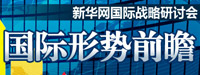 2010新華網&ldquo;縱論天下&rdquo;研討會