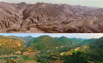 &ldquo;黃土地&rdquo;刷出&ldquo;新顏值&rdquo;：延安兩千萬(wàn)畝&ldquo;林海&rdquo;誕生記