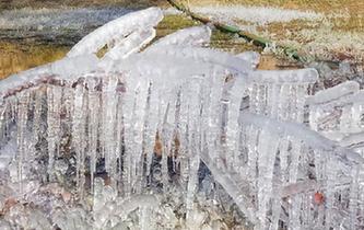 甘肅肅南現冰掛景觀 樹木&ldquo;冰封&rdquo;宛如玉樹瓊花