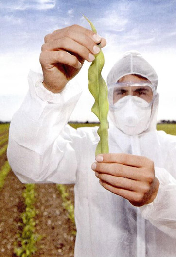 轉基因&ldquo;轉&rdquo;的是什么？